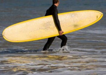 How To Choose The Best Longboards - The Ultimate Buying Guide