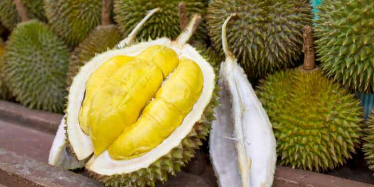 Nutritional Value of Eating Butter Durian