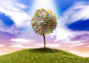 The Power of RSA Courses for Professional Development