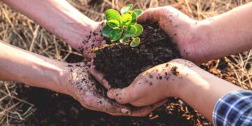 Gardening helps to improve mental well-being