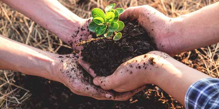 Gardening helps to improve mental well-being