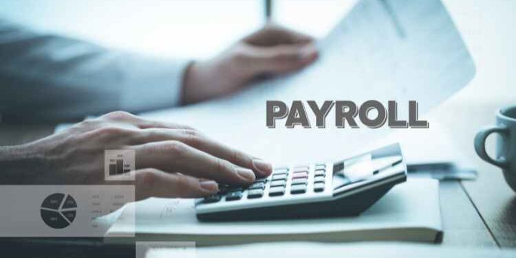 What Factors Set a Boutique Payroll Service Apart From The Rest