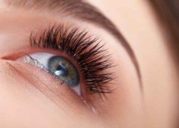 Finding the Best Wholesale Eyelash Vendors