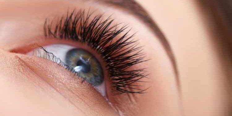 Finding the Best Wholesale Eyelash Vendors