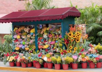 Flower Shop