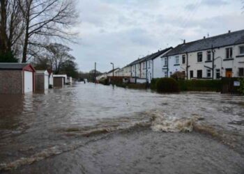 How Natural Disasters Can Impact Your Business