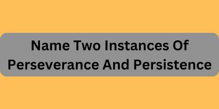 Name Two Instances Of Perseverance And Persistence