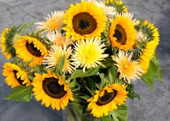 Brighten Up Your Day With a Sunflower and Rose Bouquet