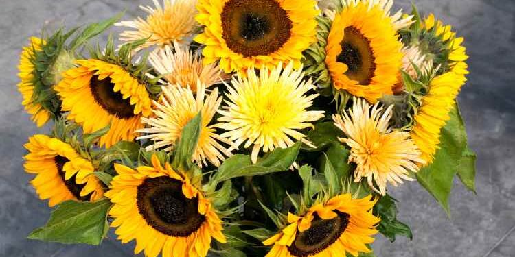 Brighten Up Your Day With a Sunflower and Rose Bouquet