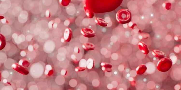 Everything You Need To Know About NAD