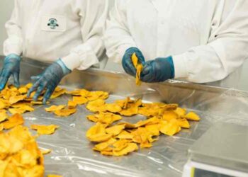 Tips for Improving Operational Efficiency in Food Processing