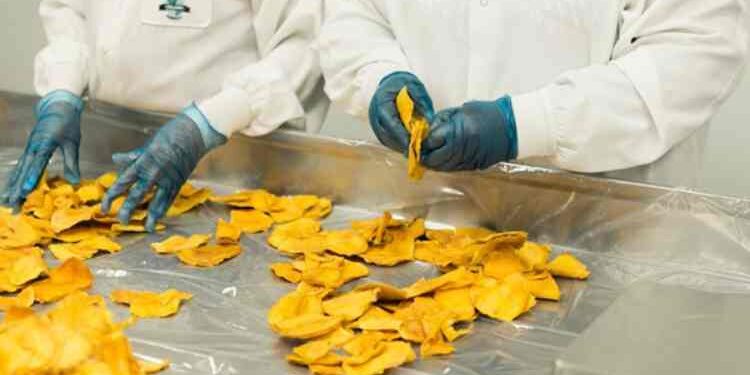 Tips for Improving Operational Efficiency in Food Processing