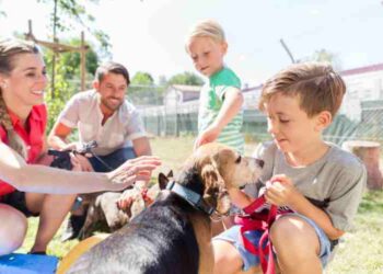 Thinking About Getting a Pet? Here Are Things to Consider