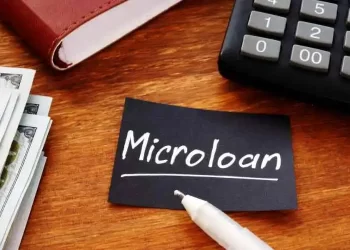 Microloans What Are They And Where Can You Use Them