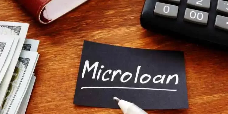 Microloans What Are They And Where Can You Use Them