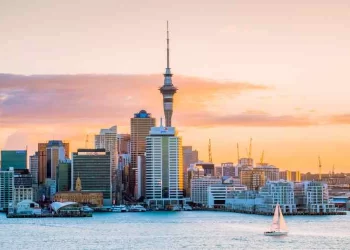 Unveiling the Range of Extra Services for Seamless Transitions to New Zealand