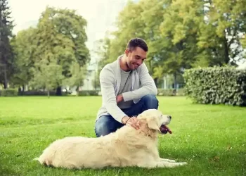 How To Choose The Best White Labrador Breeder For Your Family