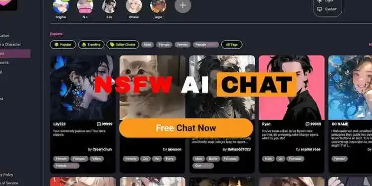 NSFW AI chat : The Best No Filter NSFW AI Chat