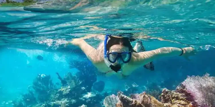 Discover the Depths: Snorkel Shop Must-Haves for Kids