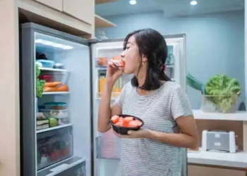French Door Fridge: The Best Option To Keep Your Food Fresh And Kitchen Organized!
