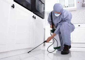 Do Not Wait Until It's Too Late — The Importance of Proactive Pest Control