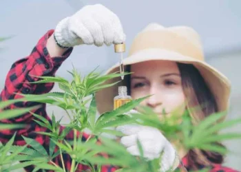 Is weed legal in North Carolina?