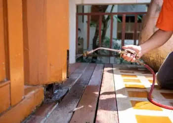 Pest Management — Is It Easy Or Difficult (Complete guide)