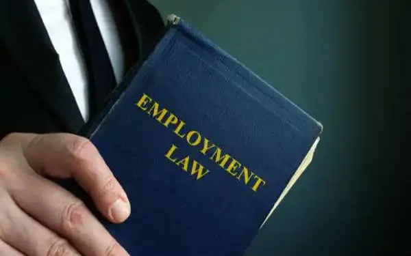 What Is The Difference Between Labor Law And Employment Law