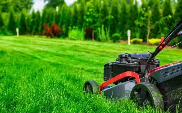 Discover the Best Local Lawn Care Company for Your Green Space Needs