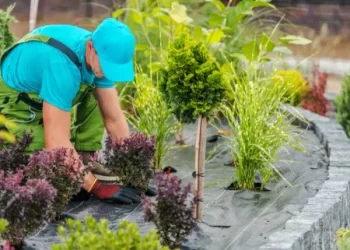 Landscape Maintenance