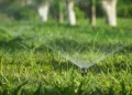 Enhance Your Landscape with Professional Sprinkler System Services
