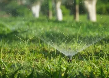 Enhance Your Landscape with Professional Sprinkler System Services