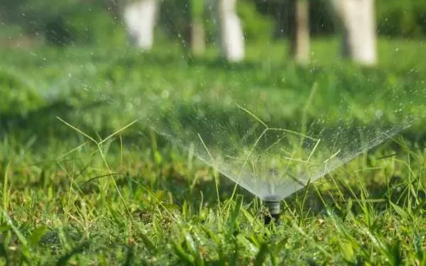 Enhance Your Landscape with Professional Sprinkler System Services