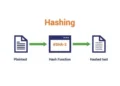 What Is Hashing: A Clear, Practical Guide for Beginners and Professionals